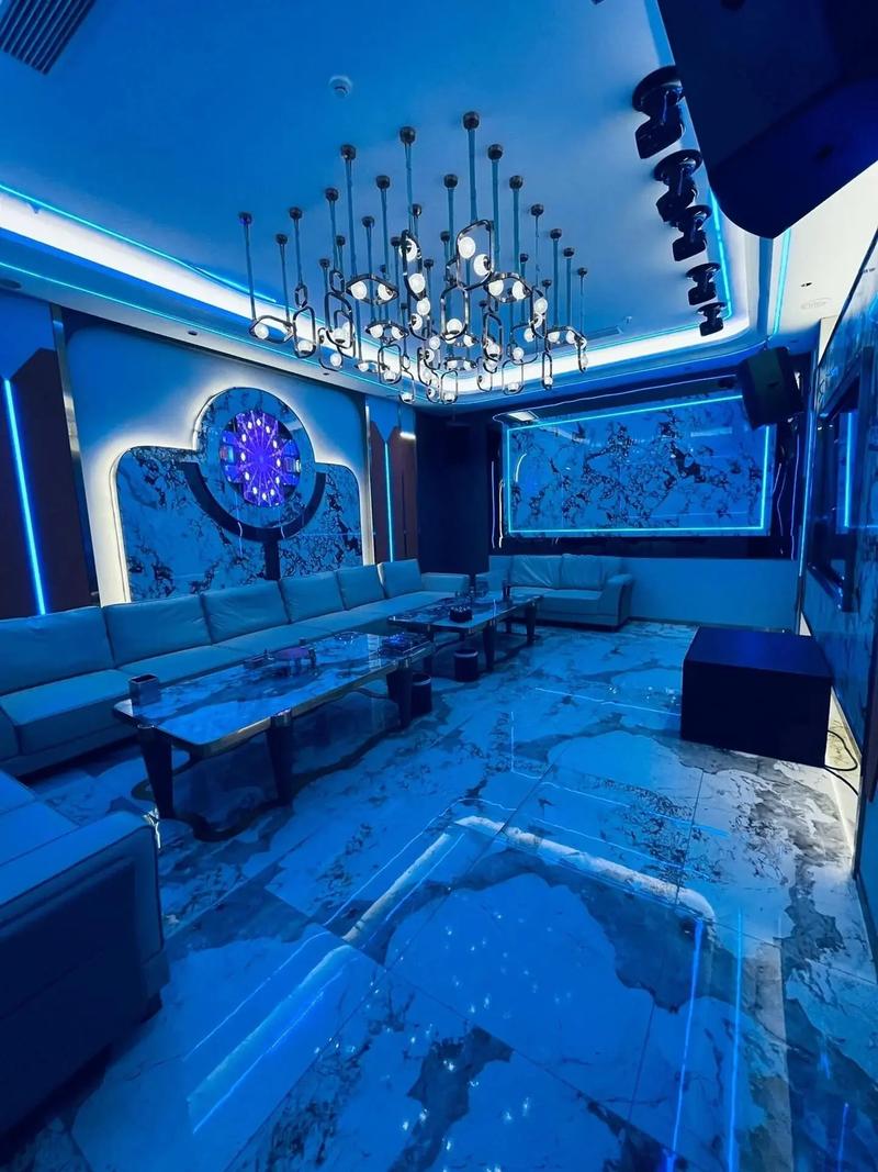 上海商务ktv揭秘-普陀区ktv预定